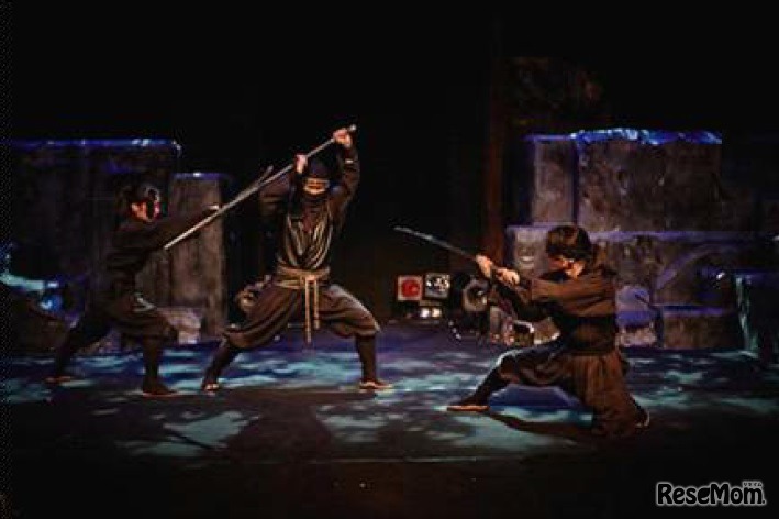 忍者ショー（イメージ）