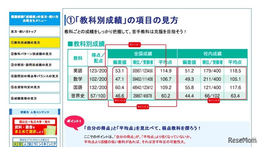 教科別成績の見方