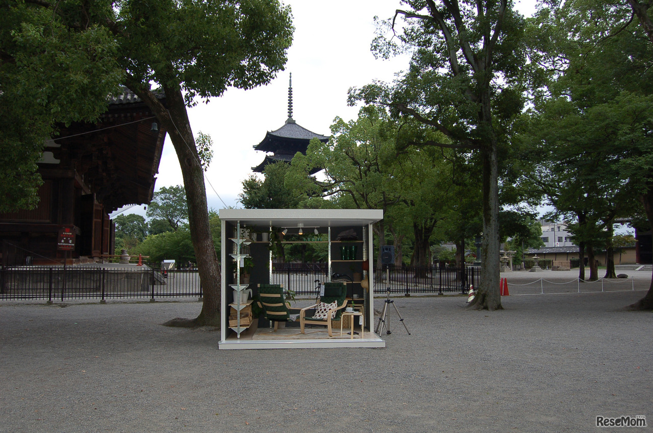 背景には国宝で京都のシンボルでもある五重塔が見える