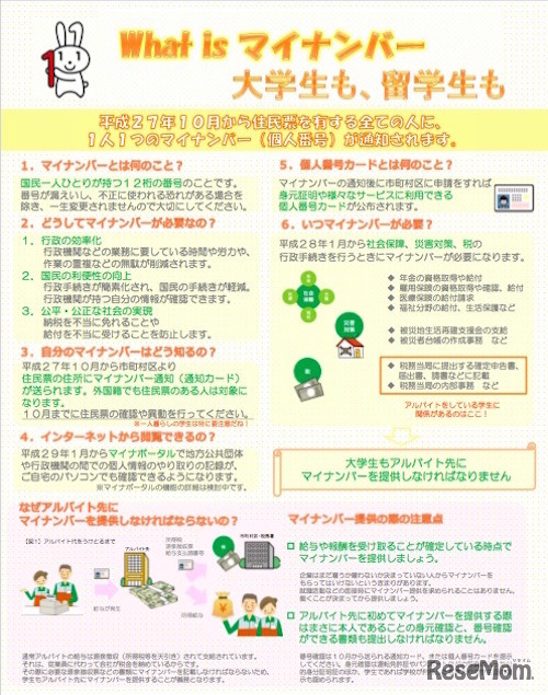 リーフレットの内容（一部抜粋）