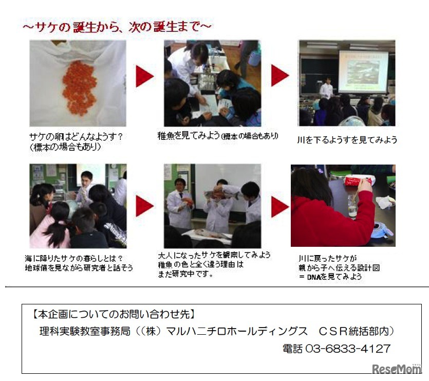 サケの誕生物語と生命の設計図のひみつ