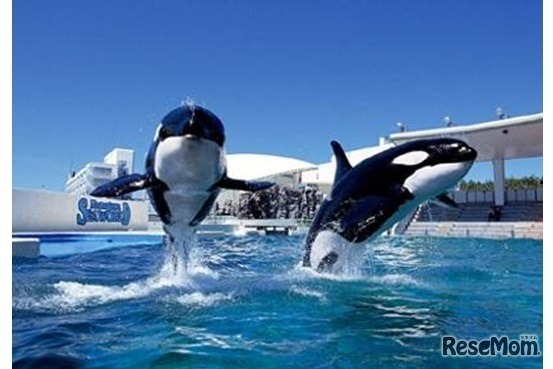 鴨川シーワールド