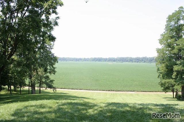 サンノゼは都会なのに、私が住んでいる隣町のMorgan Hillは人口よりも馬の数の方が多いと人は言う