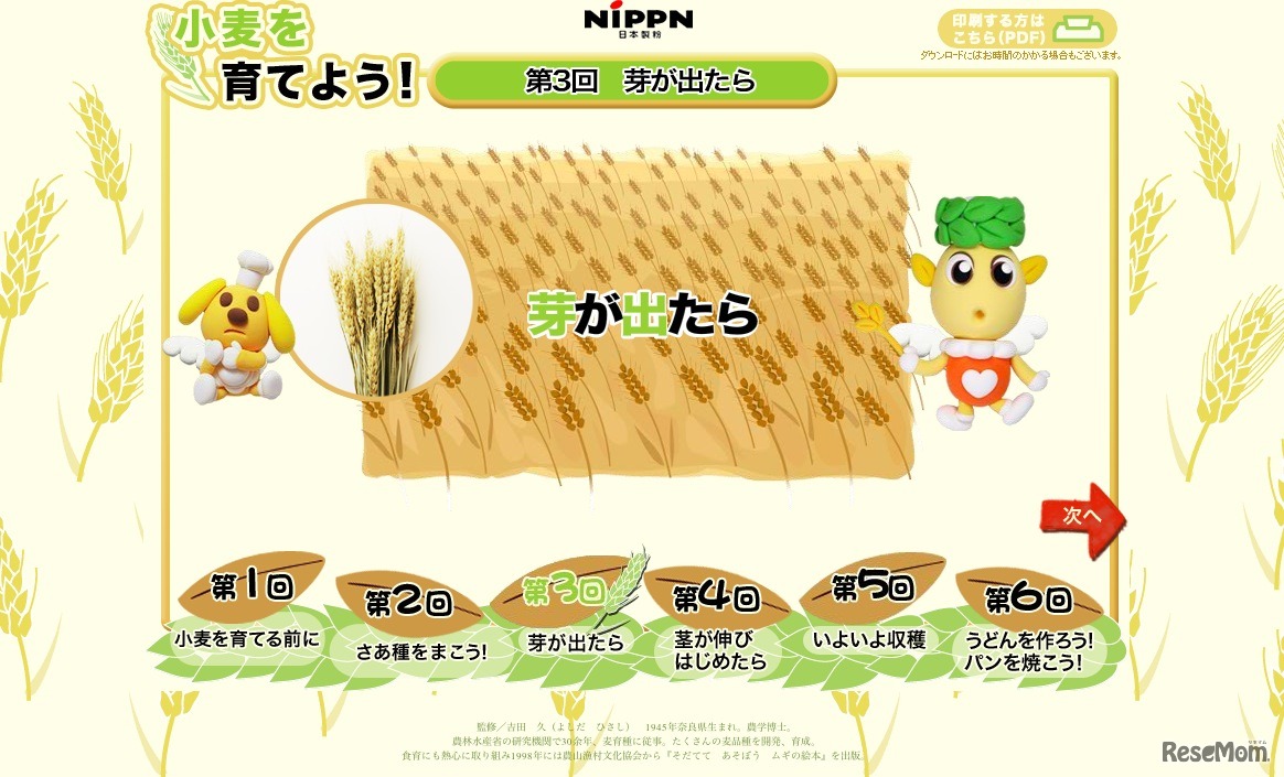 第3回 芽が出たら