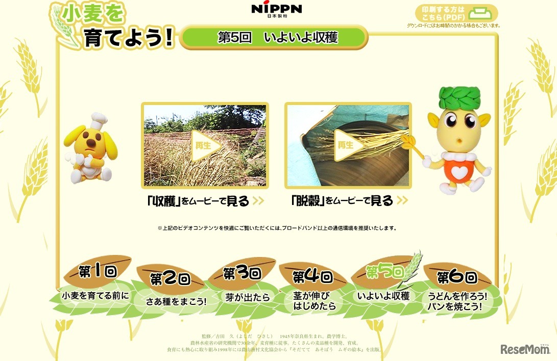 第5回 いよいよ収穫