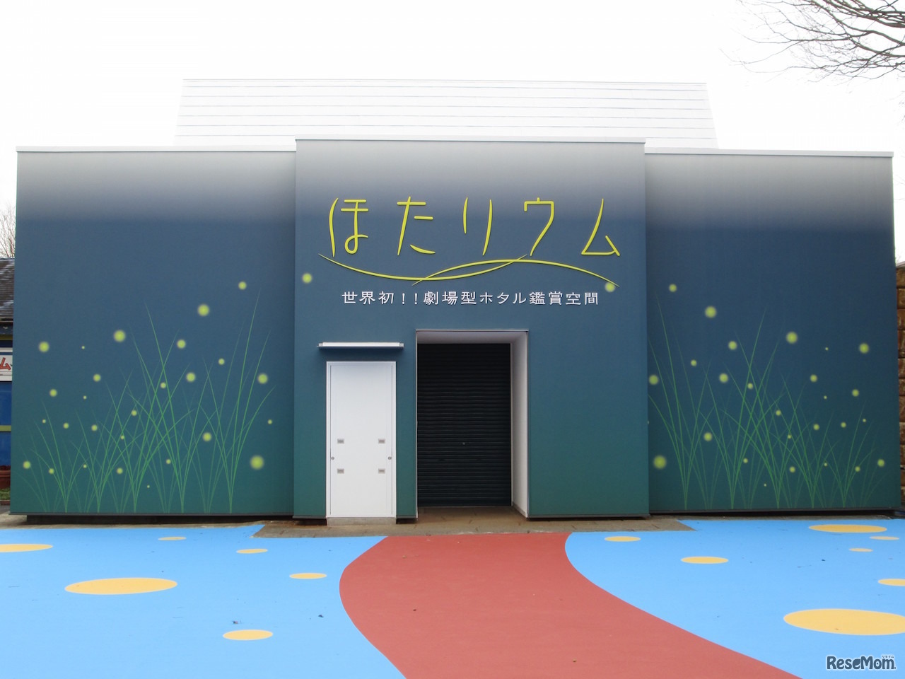 真冬の渋谷でホタル鑑賞