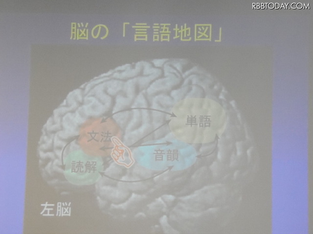 人間の左脳には言語地図があり、文法・単語・音韻・読解など複数の領域に分かれているという