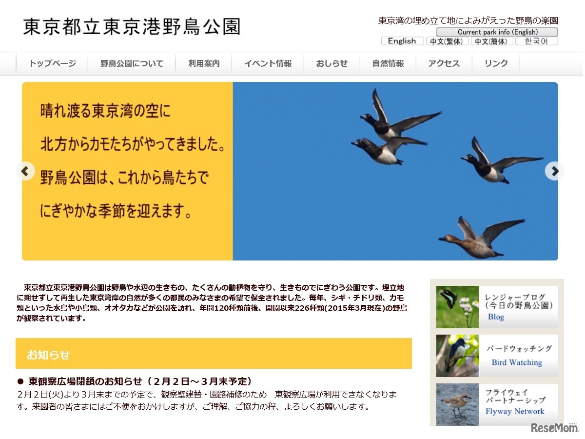 東京湾野鳥公園