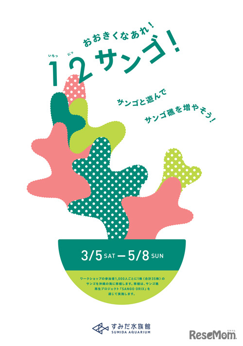 おおきくなあれ！1・2・サンゴ