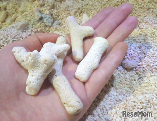 サンゴの日サンゴ証（サンゴ礫）