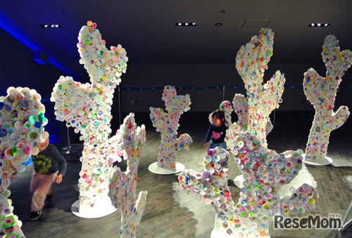 みんなでつくろう！1・2・サンゴ