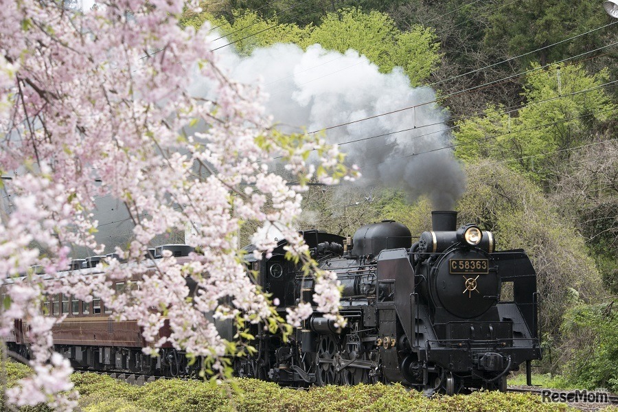 SLパレオエクスプレス