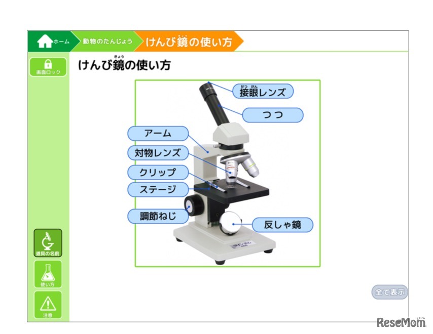 実験器具の名称を大きく提示
