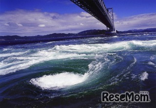 「うずしおクルーズ」では、淡路島の壮大な自然を感じることができる