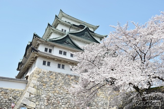 画像はイメージ