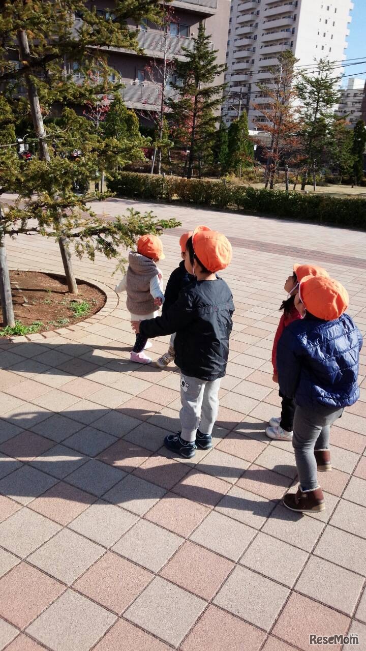 園が実際に保護者に送った写真の例　お散歩のようすも、スマホで写真を撮るのと変わらない操作性でパシャリ、そして送信