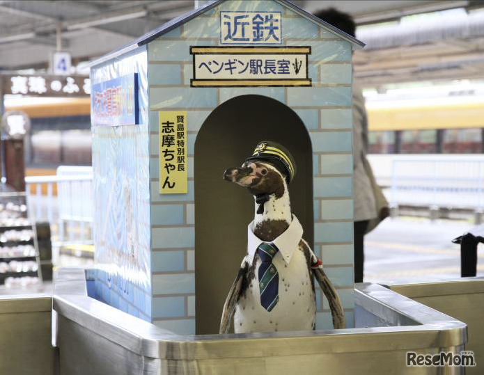 賢島駅特別駅長「志摩ちゃん」