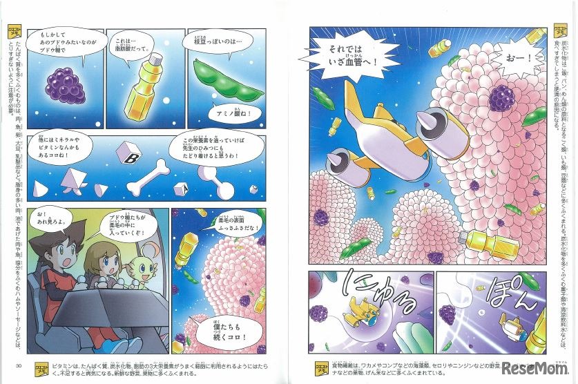 読者が主人公と冒険をしながら、ともに成長していくストーリー