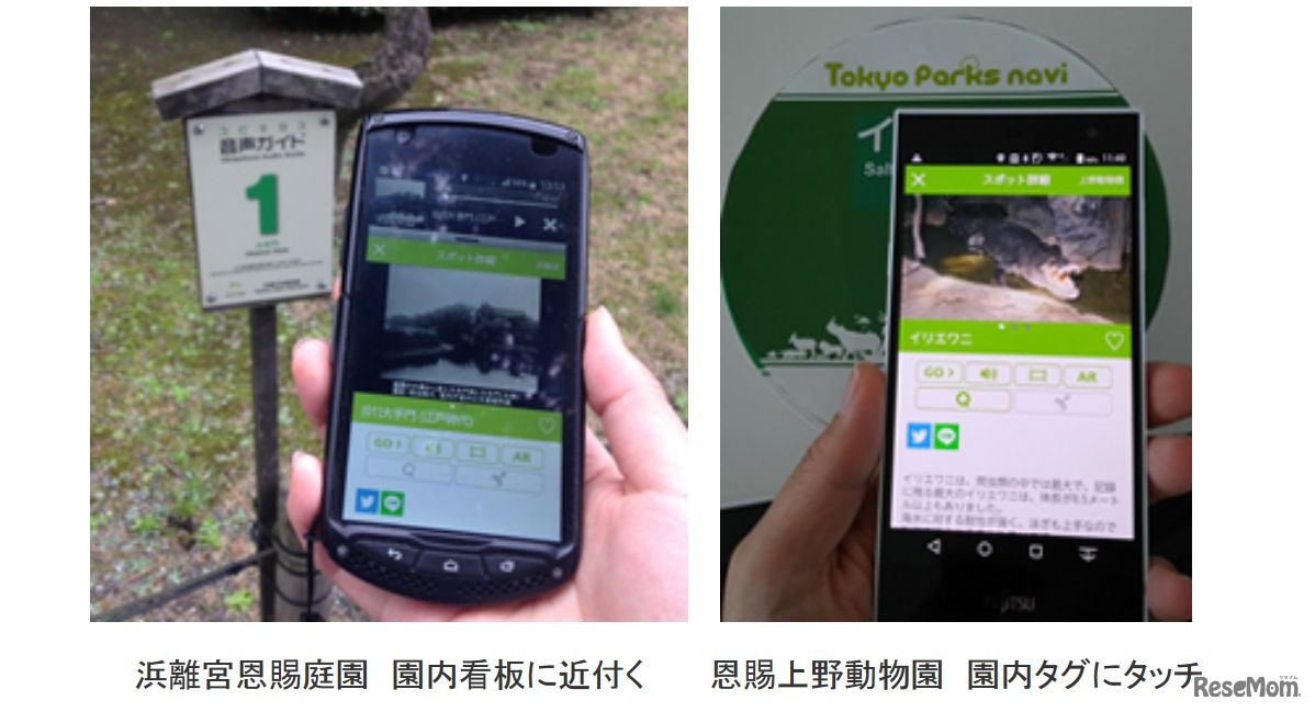 「Tokyo Parks Navi」使用イメージ