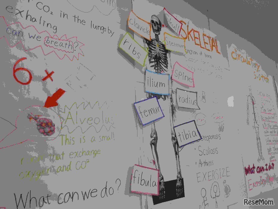 留学準備コースポスター（受講生作）