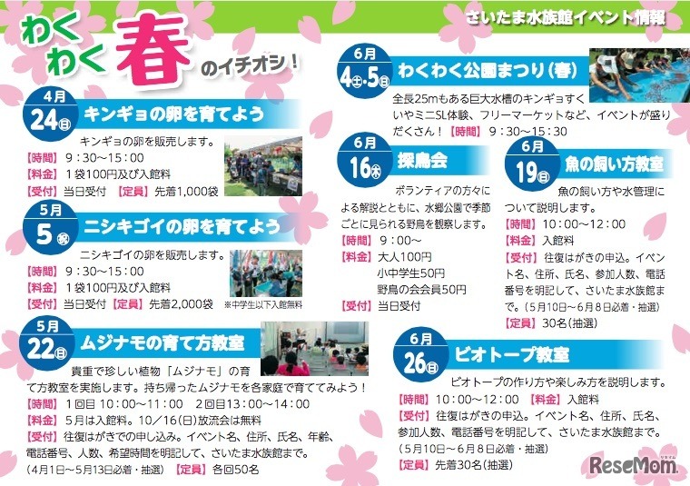 さいたま水族館　春のイベント