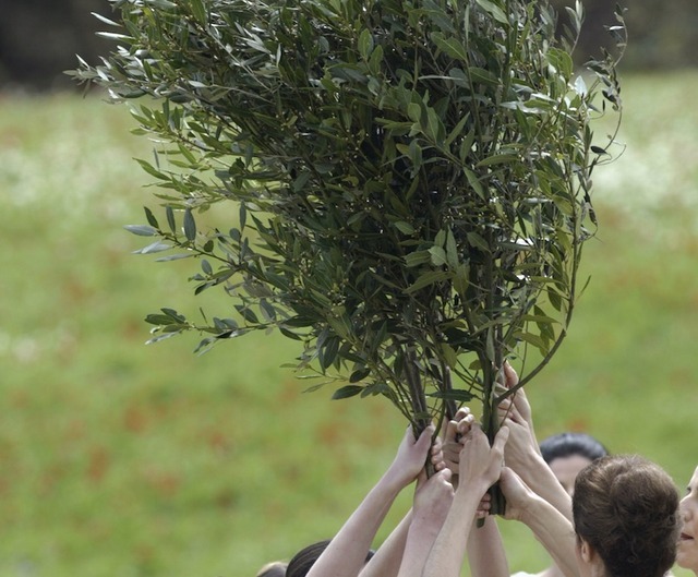オリーブ（c）Getty Images