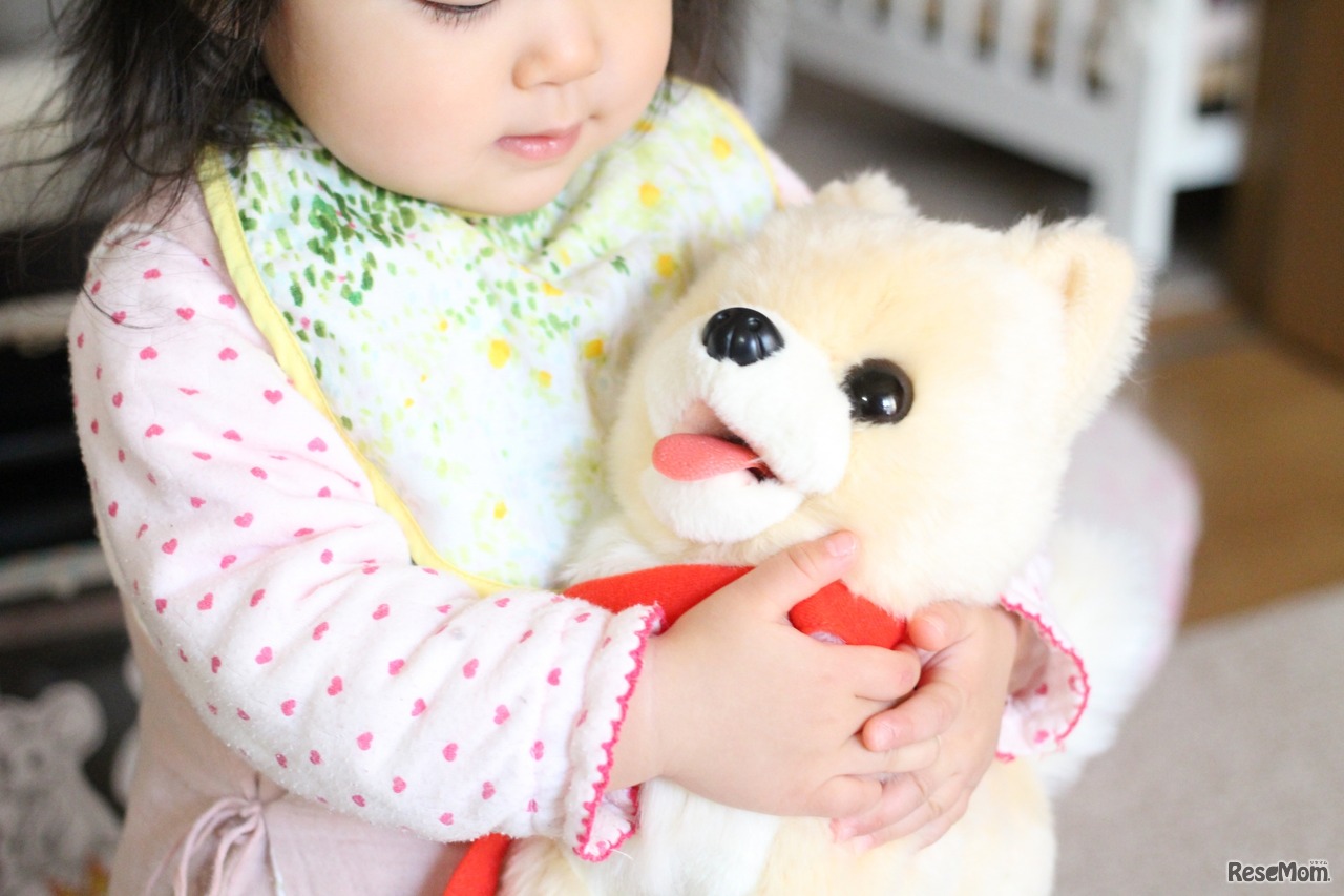 画像はイメージです