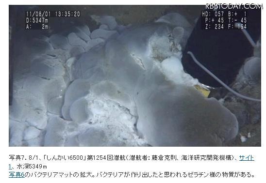 バクテリアマットが拡大し、ゼラチン様の物質がある