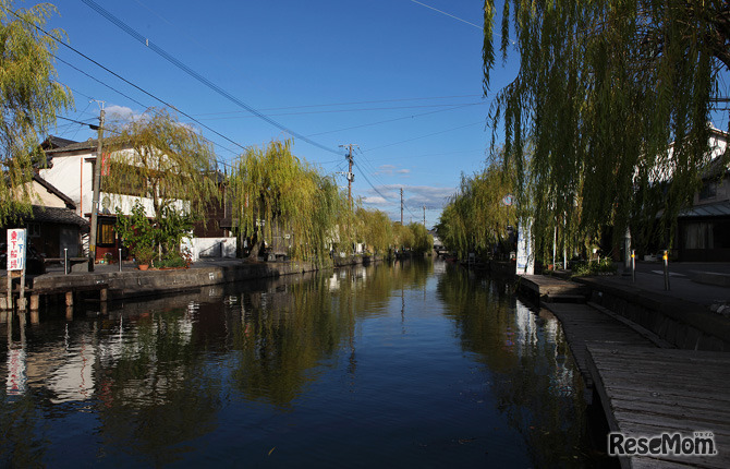 「どんこ舟」に乗って柳川の自然をゆっくりと満喫しよう