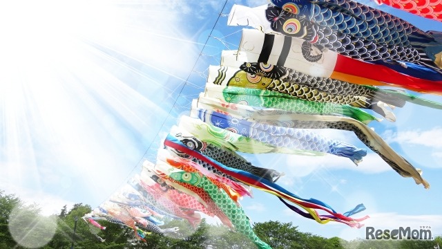 画像はイメージ