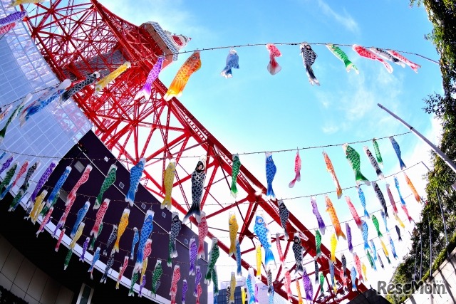 画像はイメージ