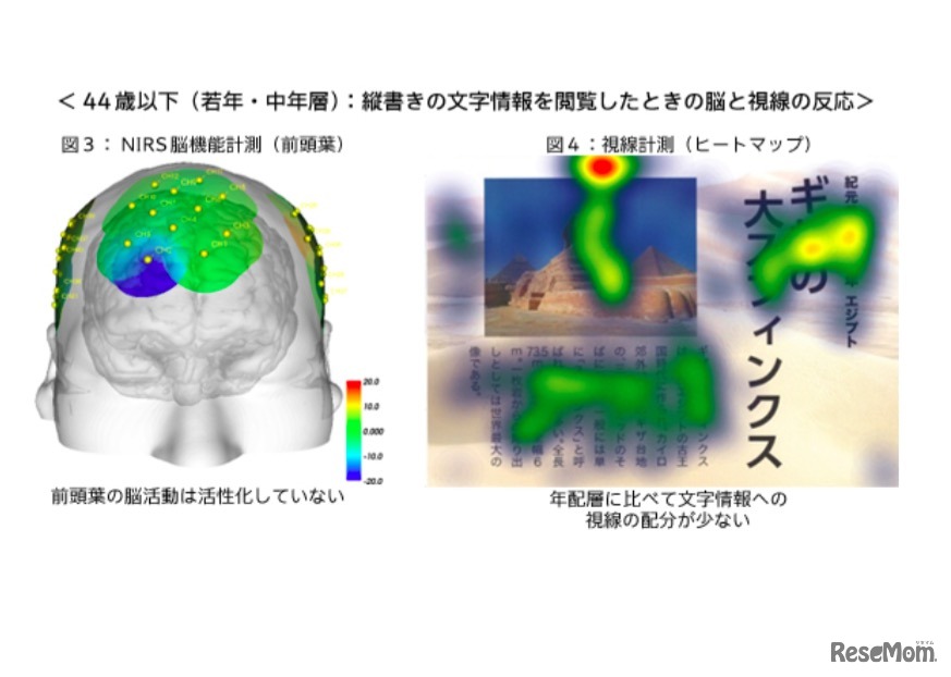 若年・中年層：縦書きの文字情報を閲覧した時の脳と視線の反応