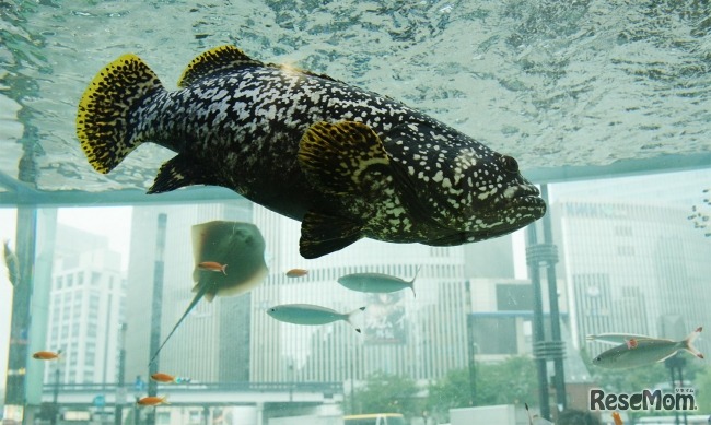 過去に実施した際のようす