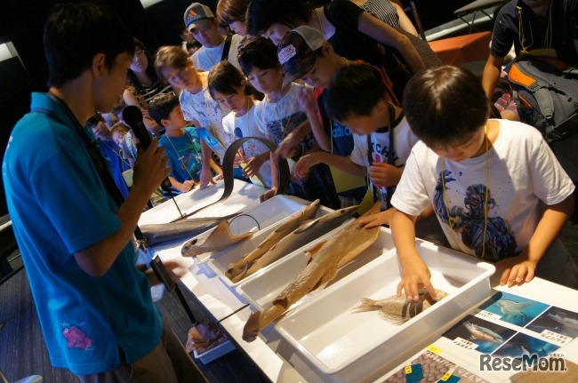 出張授業イメージ