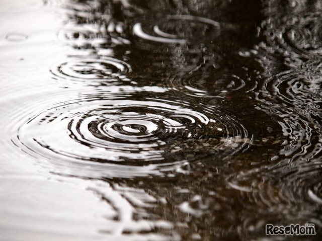 画像はイメージ