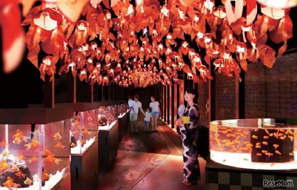 すみだ水族館「お江戸の金魚ワンダーランド」