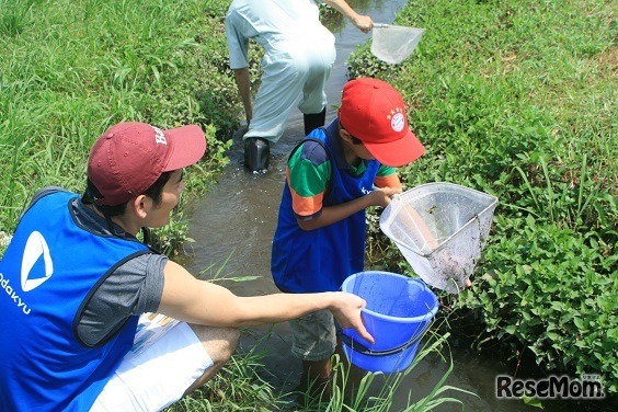 水辺の生き物教室（2015年のようす）
