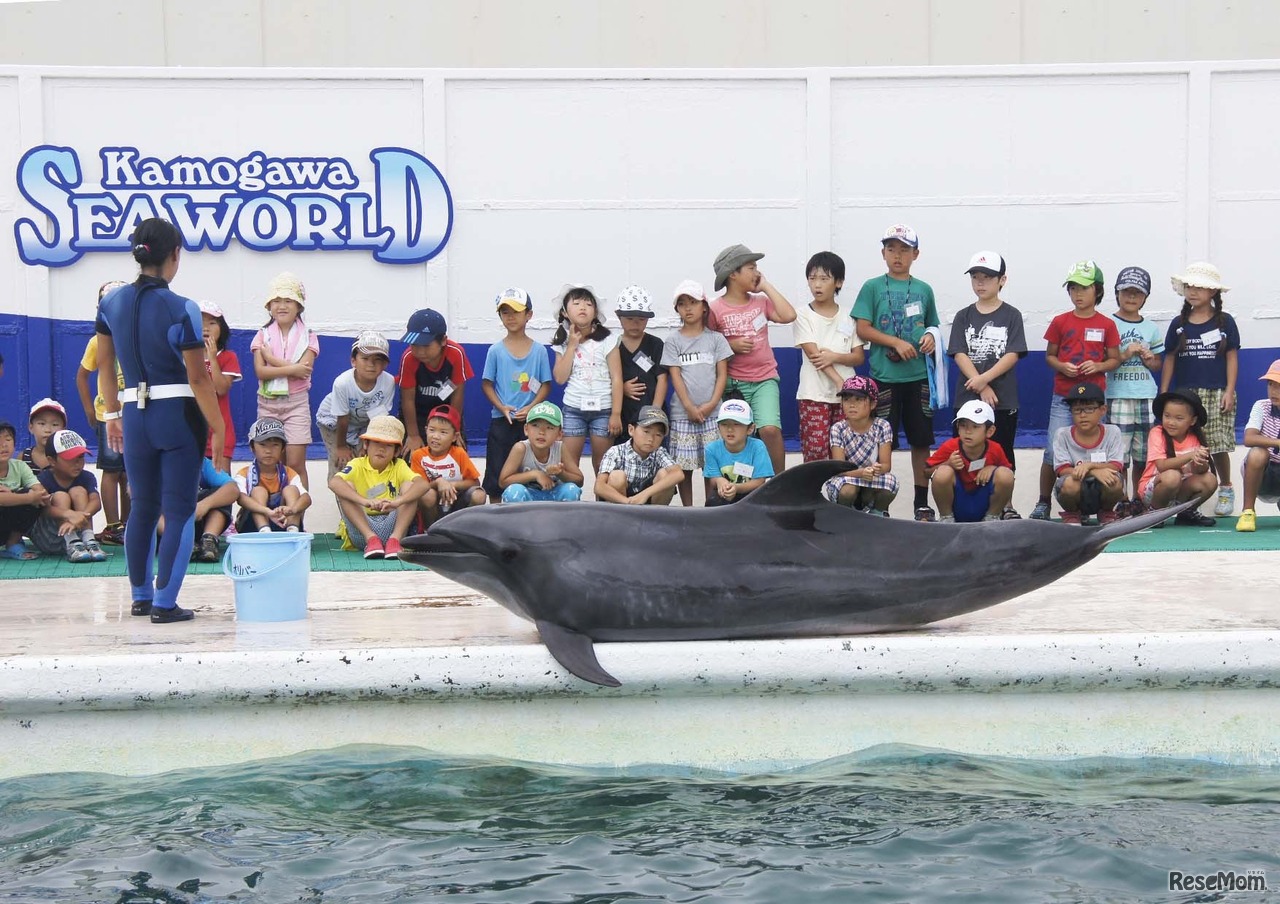 鴨川シーワールド「サマースクール」サーフスタジアム