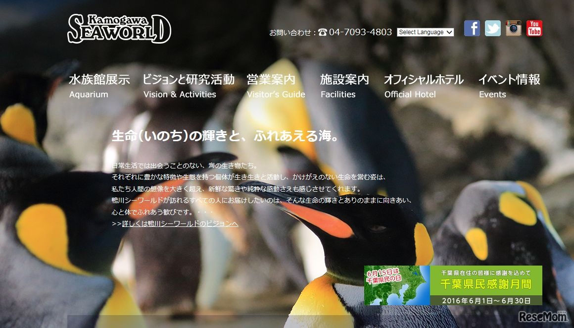 鴨川シーワールド