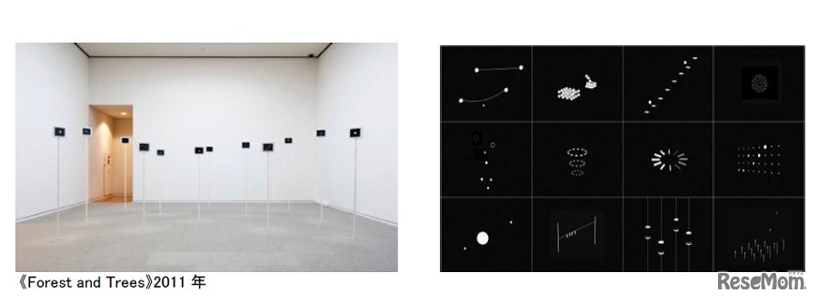 大西景太「Forest and Tree」2011年