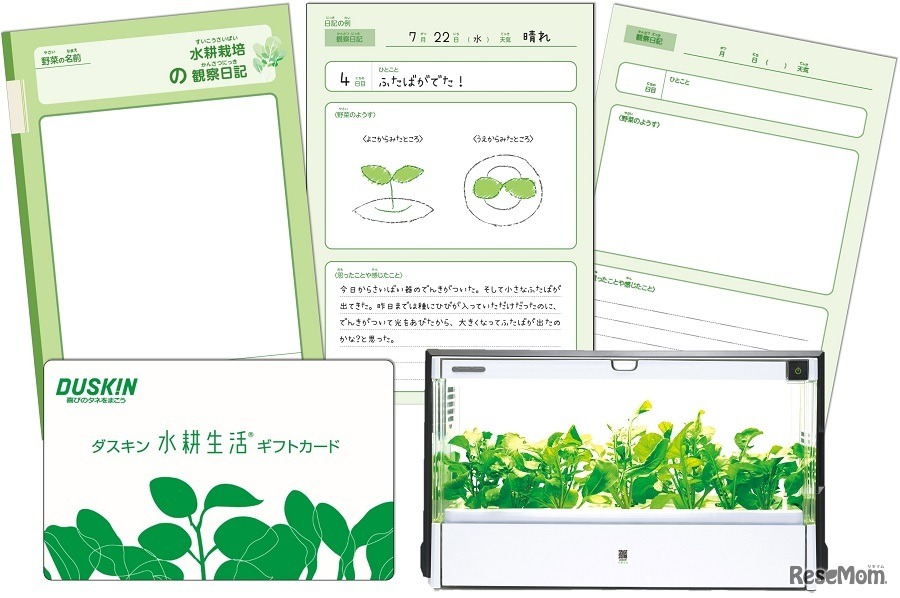 水耕栽培器と栽培キット、観察日記ノートがセットになっている