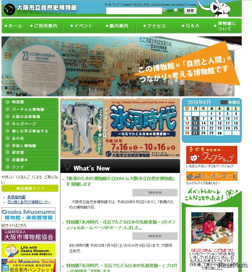 大阪市立自然史博物館