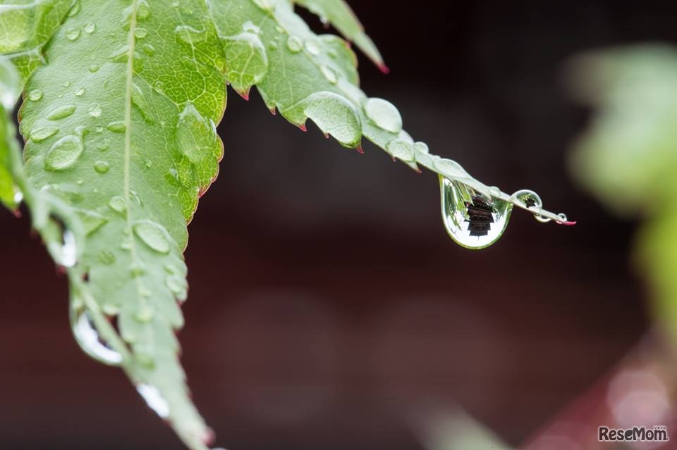 水とのふれあいコンテスト　過去の応募作品　(c) 水の日・水の週間実行委員会