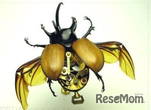 昆虫サイボーグ