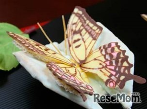 世界一美しい昆虫食