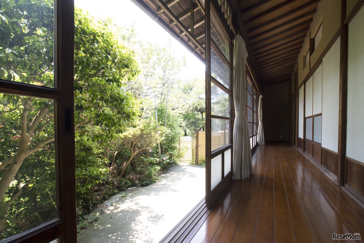 校舎は緑あふれる環境の中