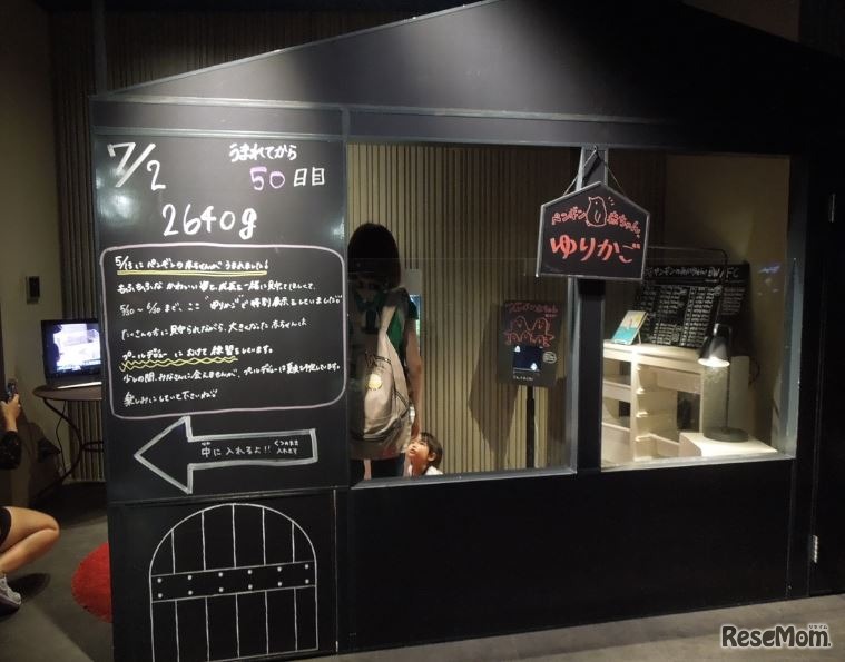 ペンギンのゆりかご（昨年のようす）　画像提供：すみだ水族館