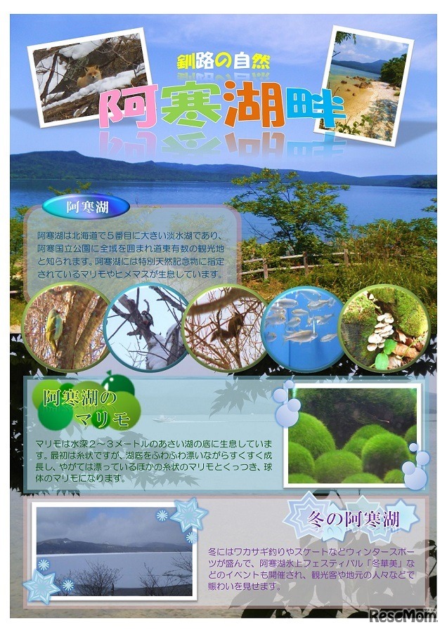 「釧路の自然～阿寒湖畔～」釧路商科専門学校 藻玉姉妹（第6回コンテスト・優秀デザイン賞）