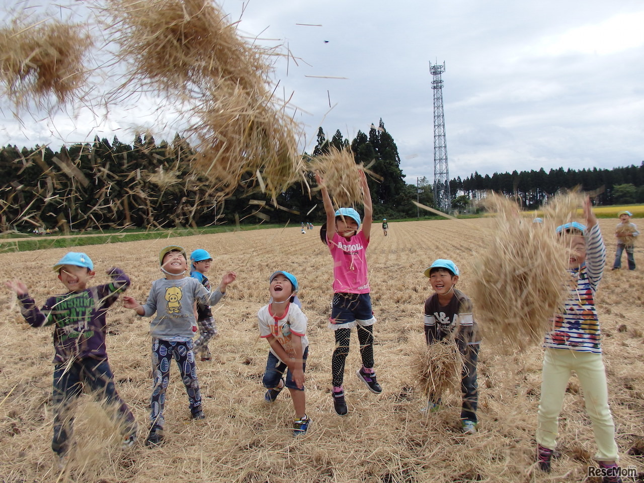 秋田の自然にふれるツアーも