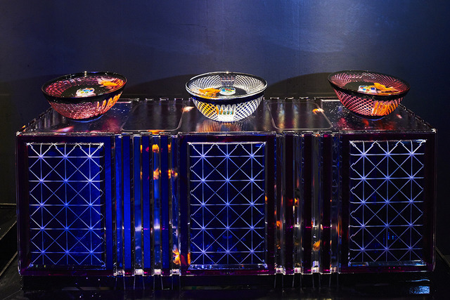 アートアクアリウム10周年記念祭が開幕、史上最大となる新作や舞い降りる8,000匹の金魚